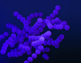 Your Mysterious Microbiome