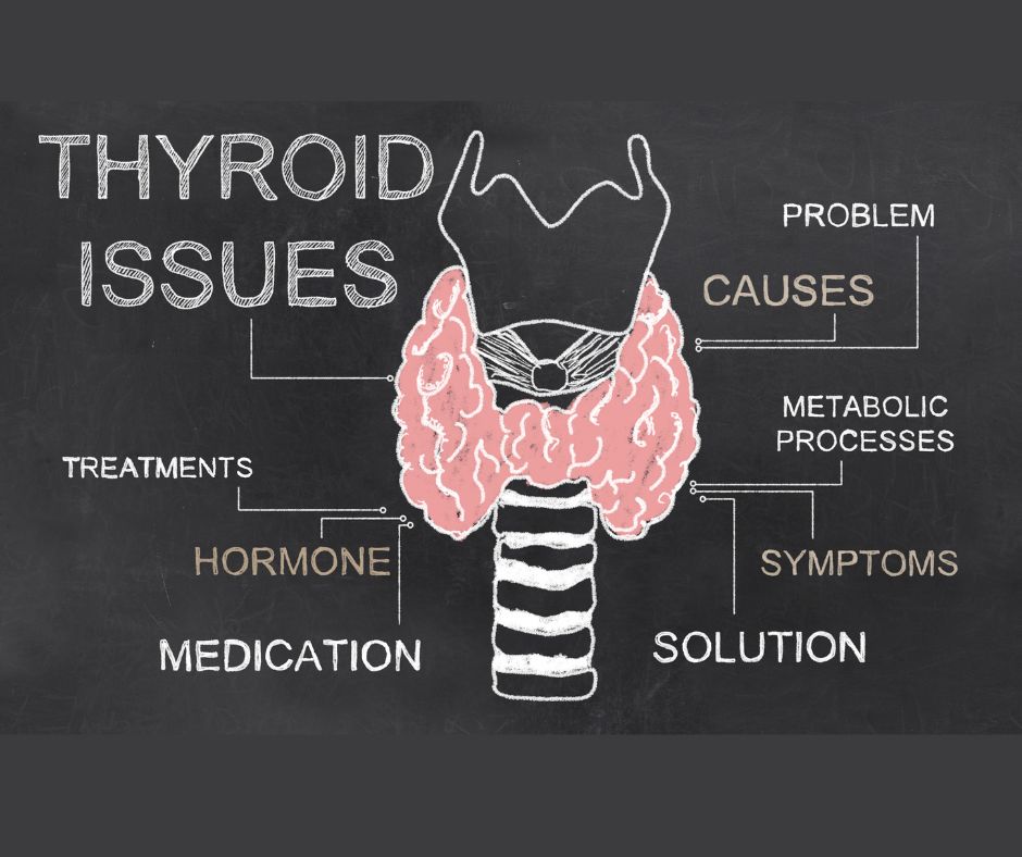 Hyperthyroid Numbers What Do All of These Thyroid Numbers Mean? And…What Can I Do About It ...