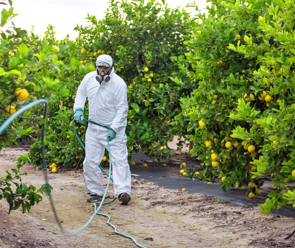 Do I Have To Buy Organic?