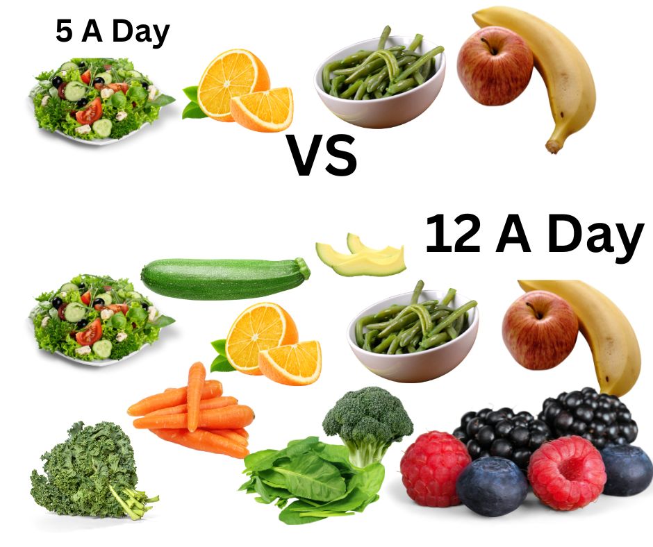 How Does Fasting, Protein, and Autoimmune Disease Fit&nbsp;Together?