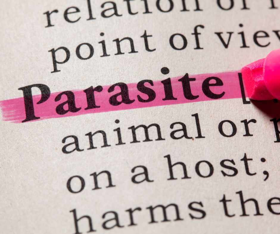 What’s Bugging You? Could A “Bug” Be a Hidden Root of Autoimmune&nbsp;Disease